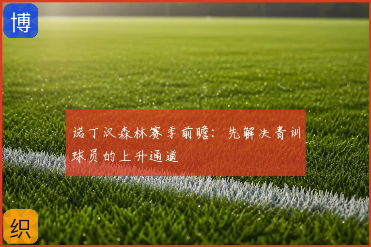 诺丁汉森林赛季前瞻：先解决青训球员的上升通道